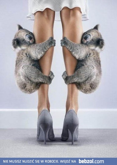 Do takich nóg łatwo jest się przyczepić!