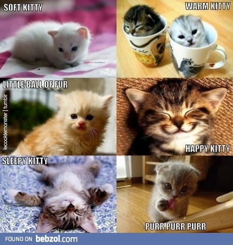 Soft kitty, warm kitty