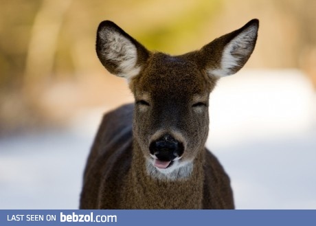 It's a weekend! Finally ;-)