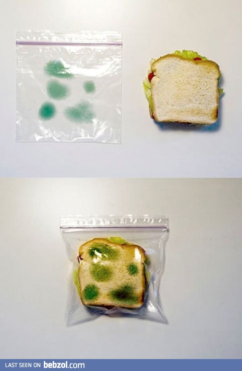 Bag for those who don't want to share