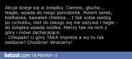 Akcja dzieje się w żołądku