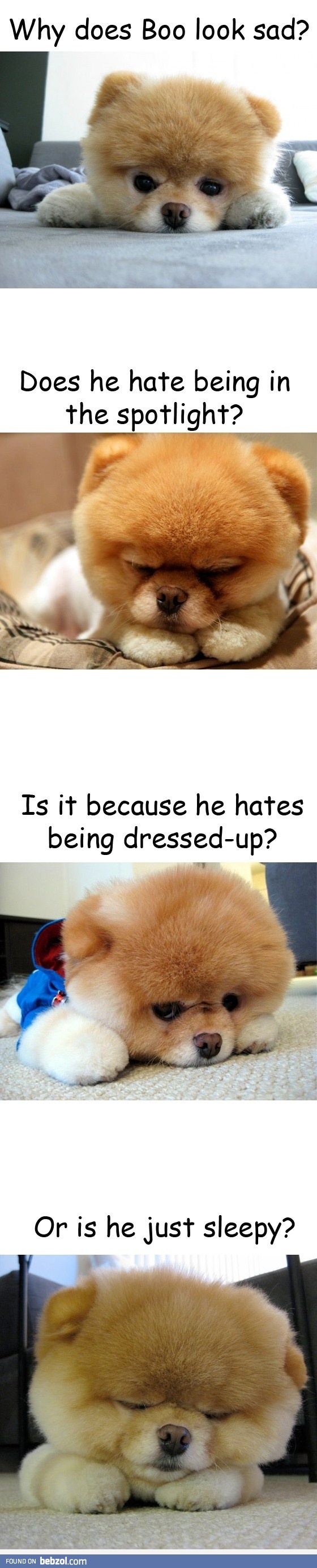 Why does Boo looks sad?