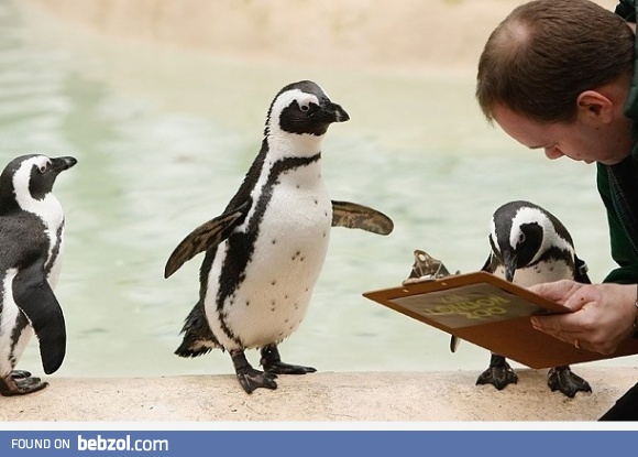 You're not on the list!