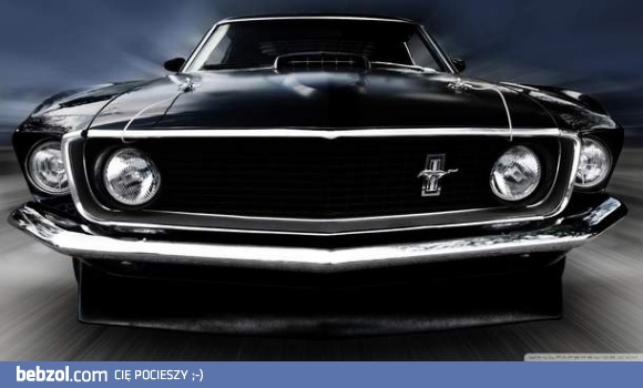 Mustang