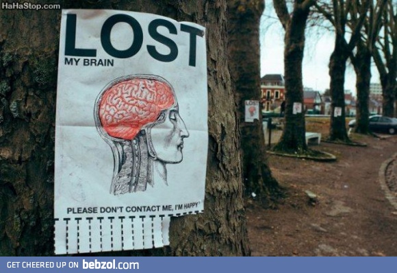 Lost my brain