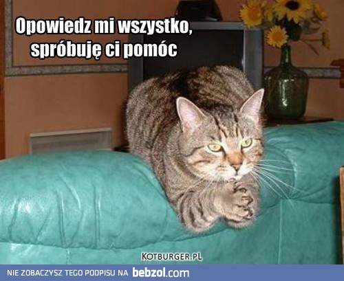 Przynajmniej spróbuję...