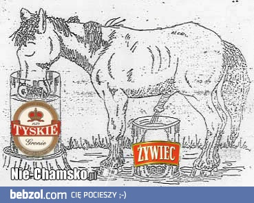 Żywiec