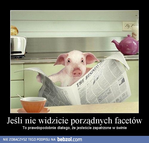 Jeśli nie widzicie porządnych facetów