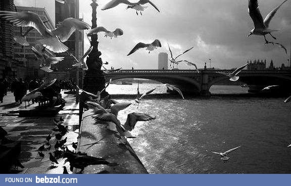 Beautiful London