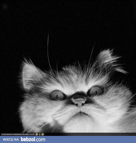 Czas na opowieści o duchach