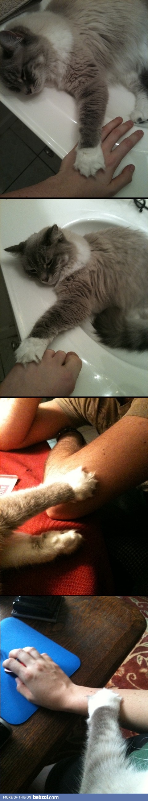 Why does she do this?