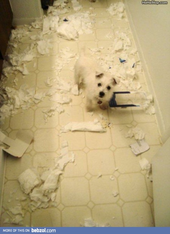 Wasn't me!