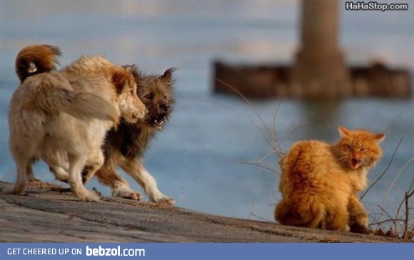 Back off!