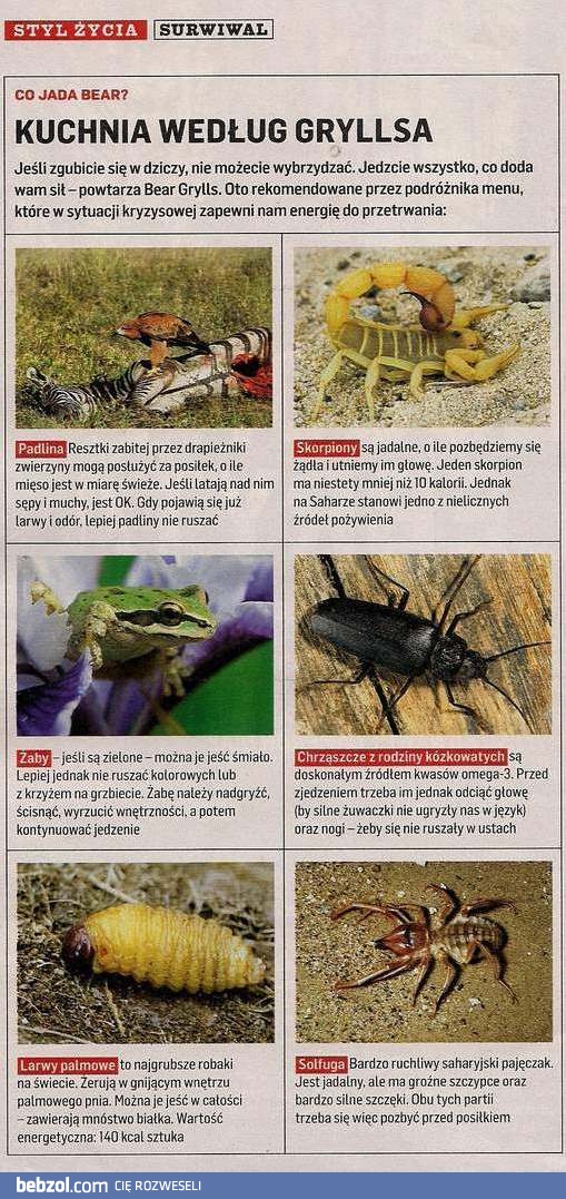 Jedzcie wszystko, co doda wam sił!