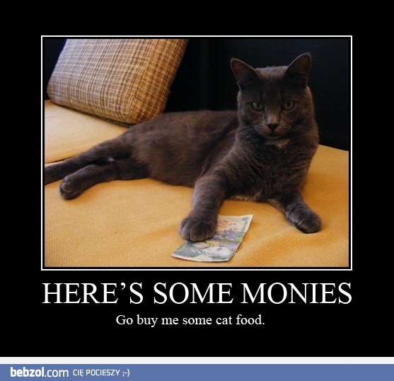 Masz pieniądze! Kupi mi jakieś kocie żarcie
