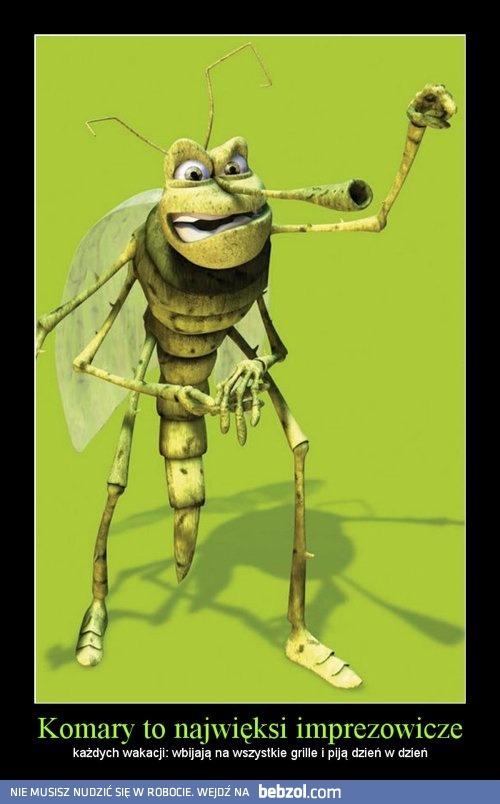 Komary to najwięksi imprezowicze! 