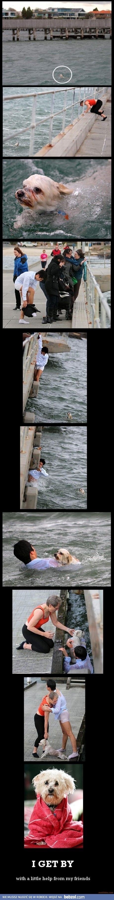 Uratował życie pieskowi 