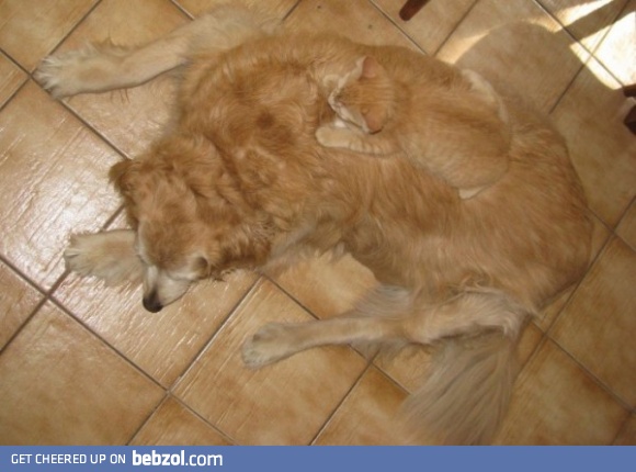 That's What I Call Camouflage 