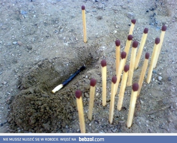 Zapałki też mają uczucia 