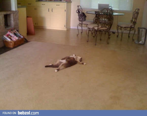 The heatwave hit everybody pretty hard