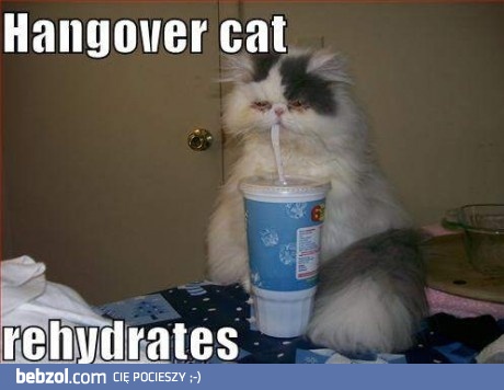 Niestety męczy mnie kac..