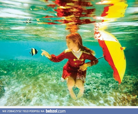 Artystyczne  zdjecie 