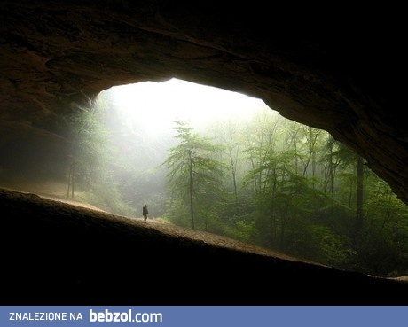 Natura - coś pięknego! 