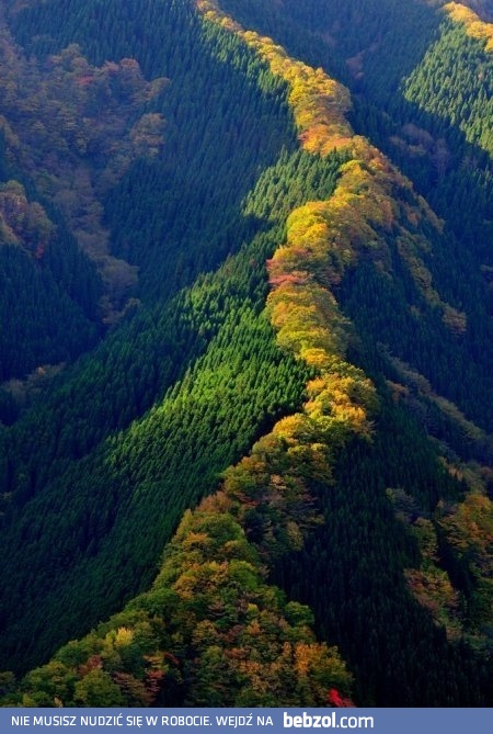 Przepiękny krajobraz