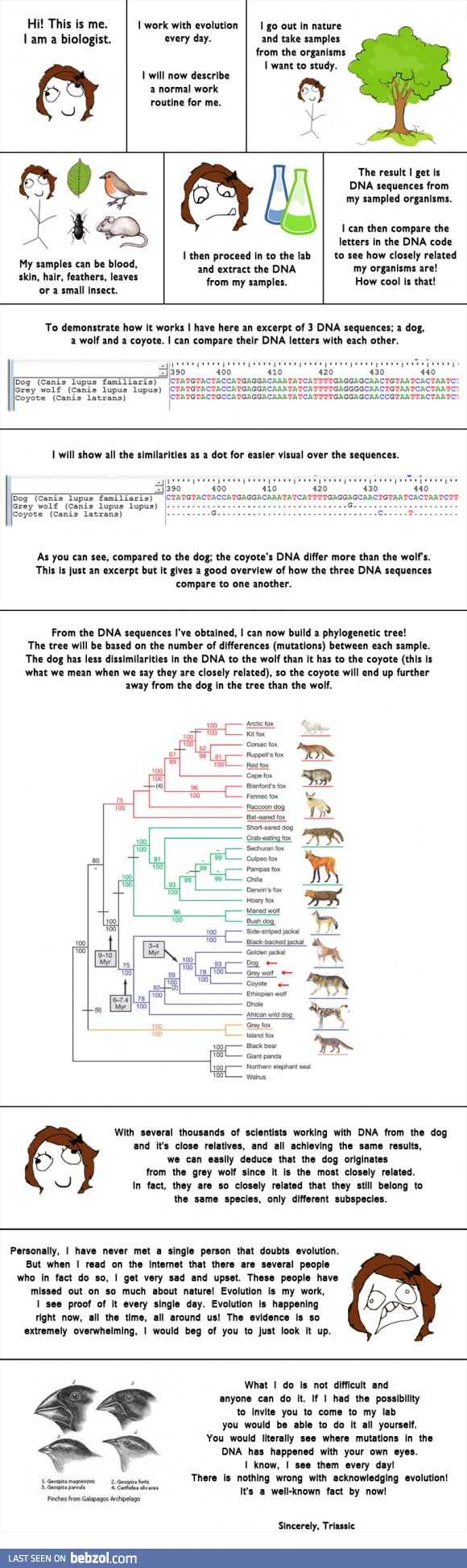 A biologist who works with evolution everyday