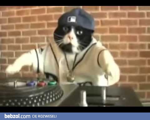 DJ-KOT