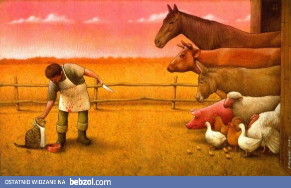 Zaraz dostaniesz jeść