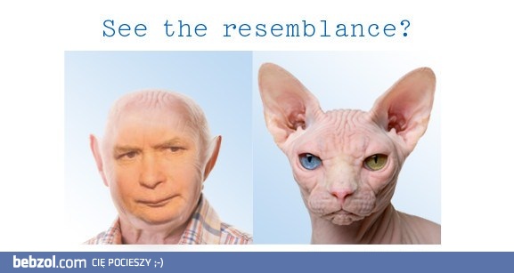 Podobieństwo._!