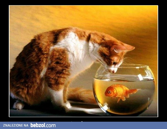 Być... albo nie być