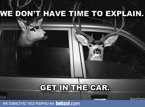 Nie ma czasu na wyjaśnienia, wsiadaj!