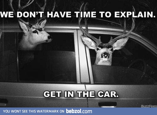 We don't have time to explain