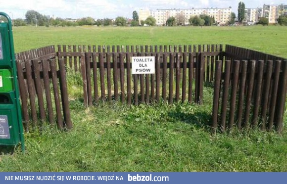 Toaleta dla psów