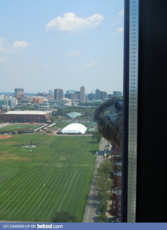 Watching you right now