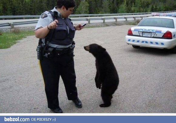 Proszę, zabierz mnie ze sobą..