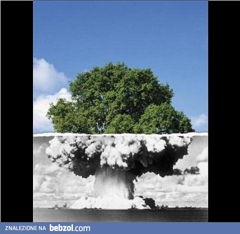 Wybór należy do ciebie..!