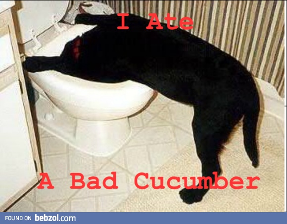 Bad Cucumber