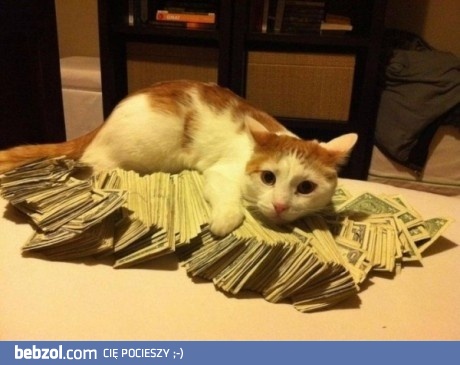 Moje pieniądze! 