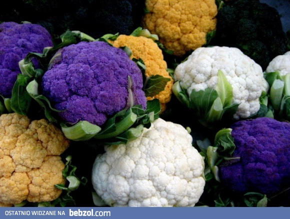 Kolorowe kalafiory