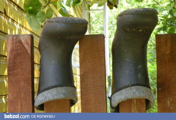 Fajrant! Idziemy na piwo!!!