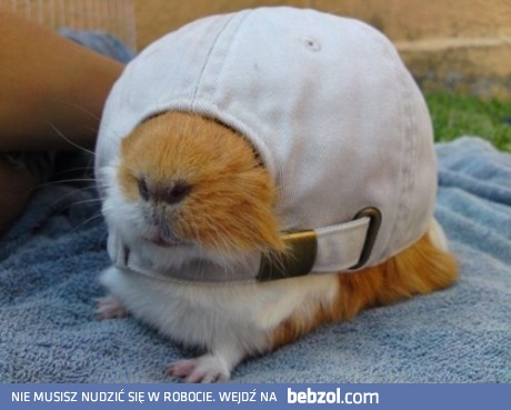 Podoba Wam się moja nowa czapeczka?