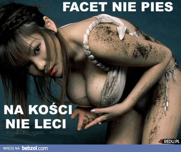 Facet nie pies