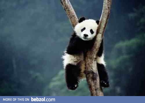 I'll just stay here to rest