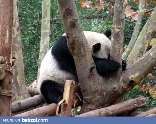 I'll never drink that much again