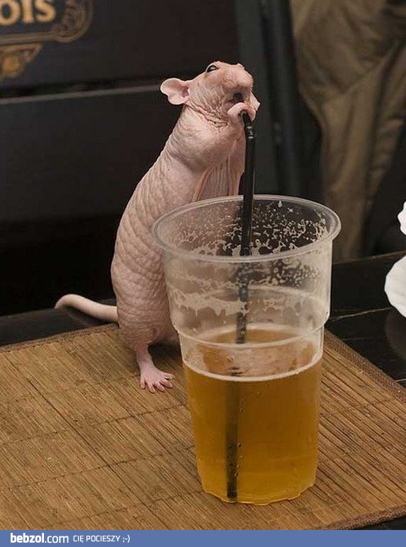 Jaki obrzydliwy skur***el