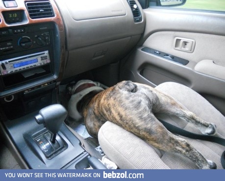 Apparently a floor vent is cooler