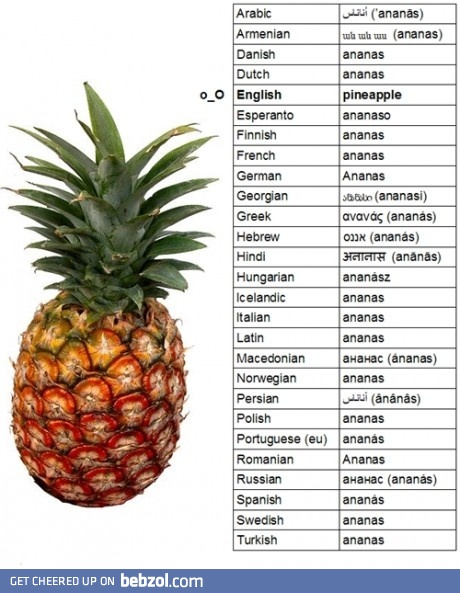 Americans, you r so silly